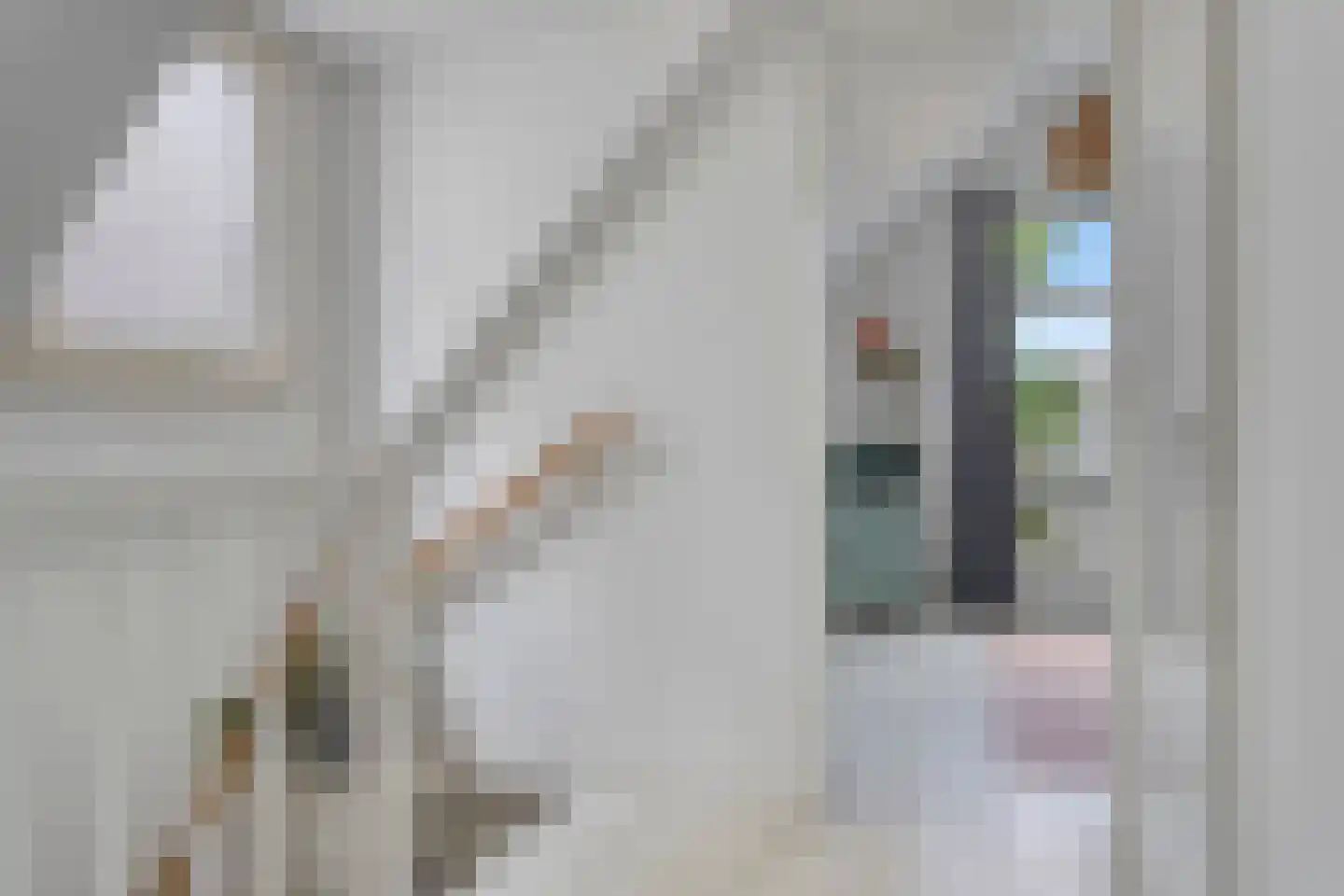Nieuwe Binnenweg 213 B 02 Rotterdam thumbnail 17