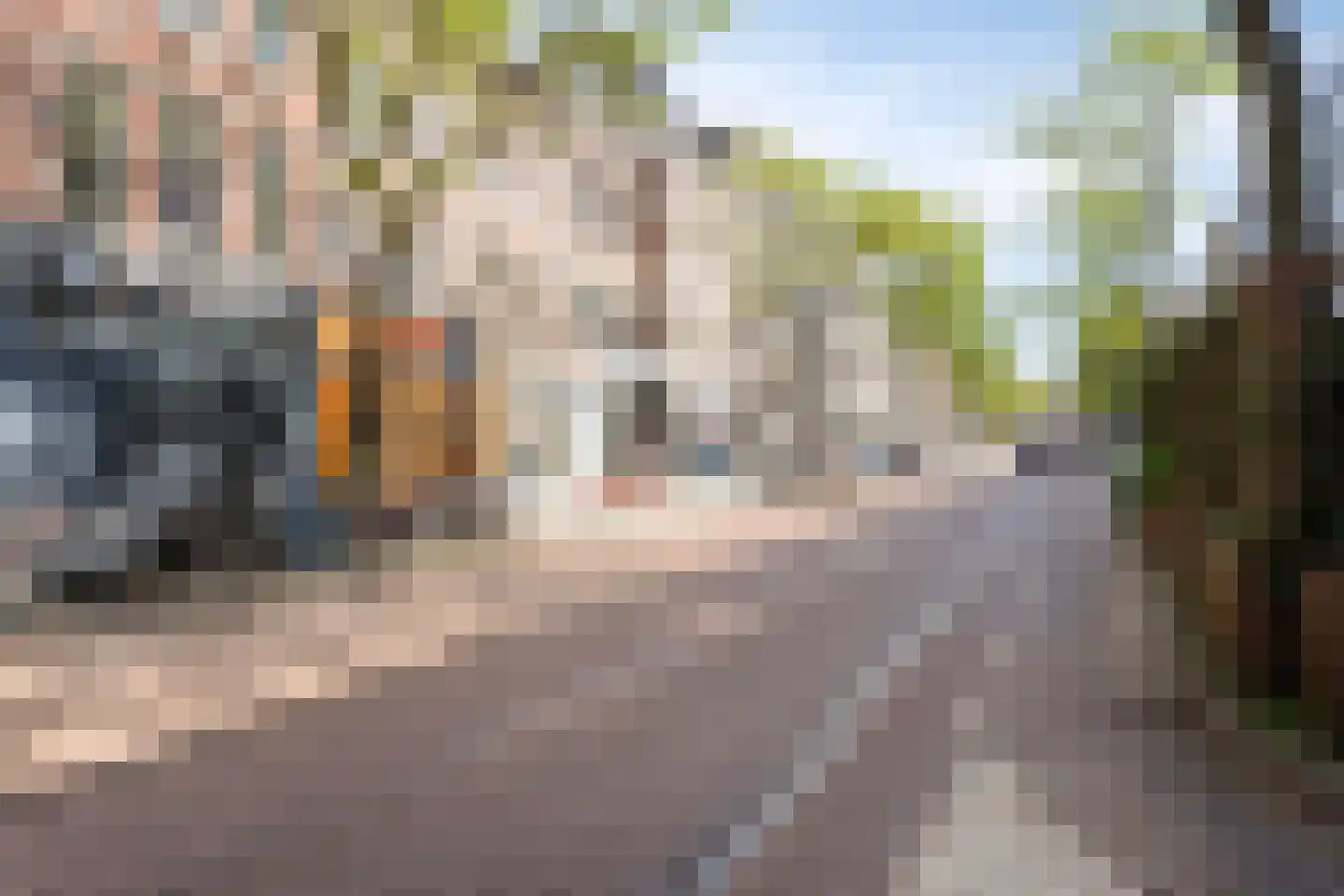 Nieuwe Binnenweg 213 B 02 Rotterdam thumbnail 29
