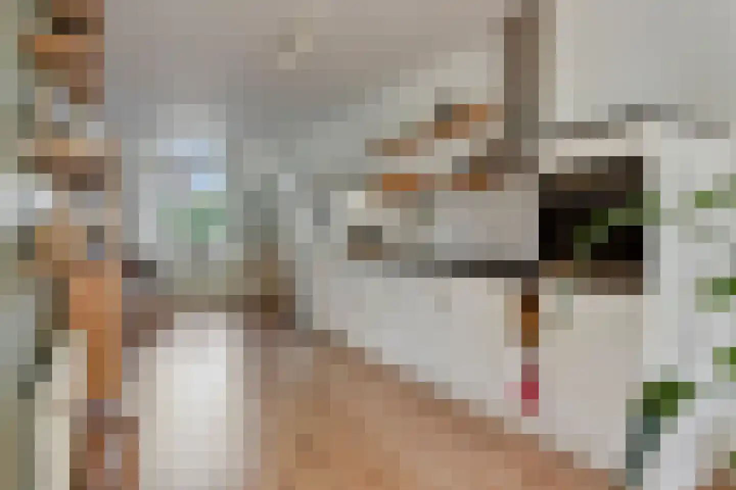 Nieuwe Binnenweg 213 B 02 Rotterdam thumbnail 7
