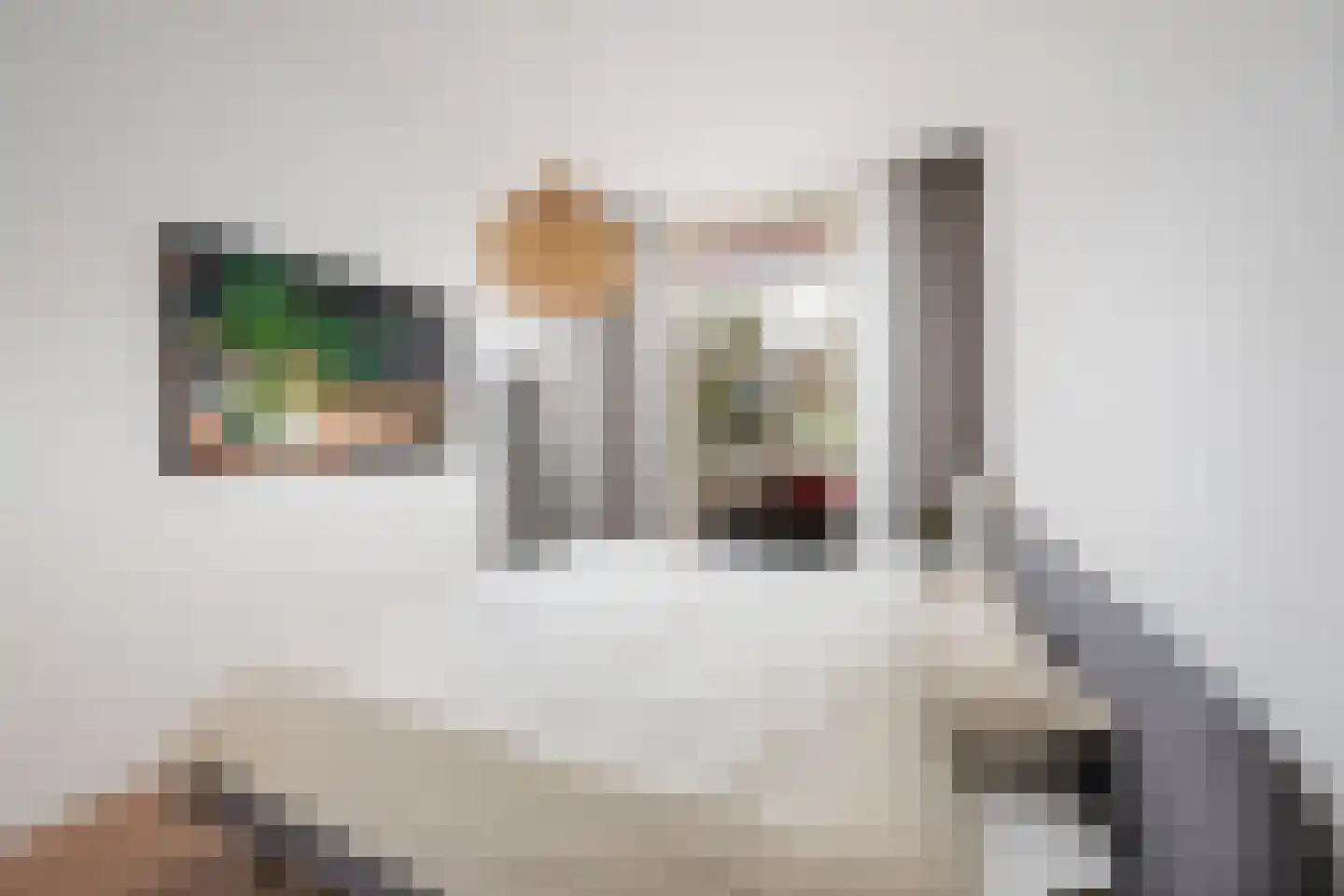 Nieuwe Binnenweg 215 A 01 Rotterdam thumbnail 9