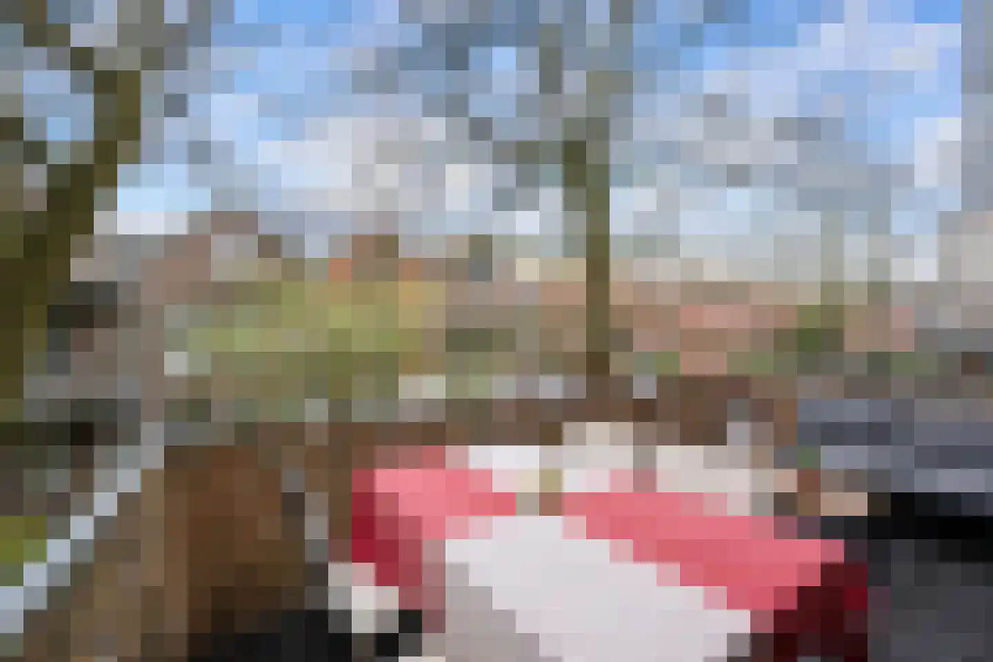 Nieuwe Binnenweg 215 B Rotterdam thumbnail 13