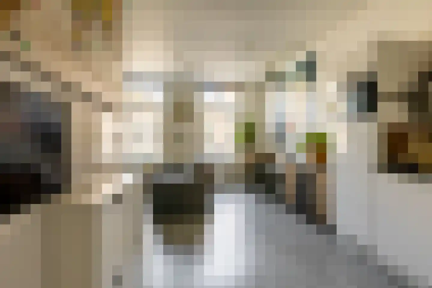 Nieuwe Binnenweg 216 B Rotterdam thumbnail 12