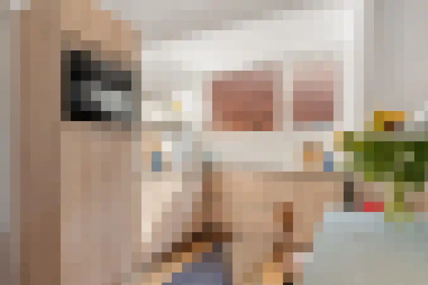 Nieuwe Binnenweg 219 B 03 Rotterdam thumbnail 10