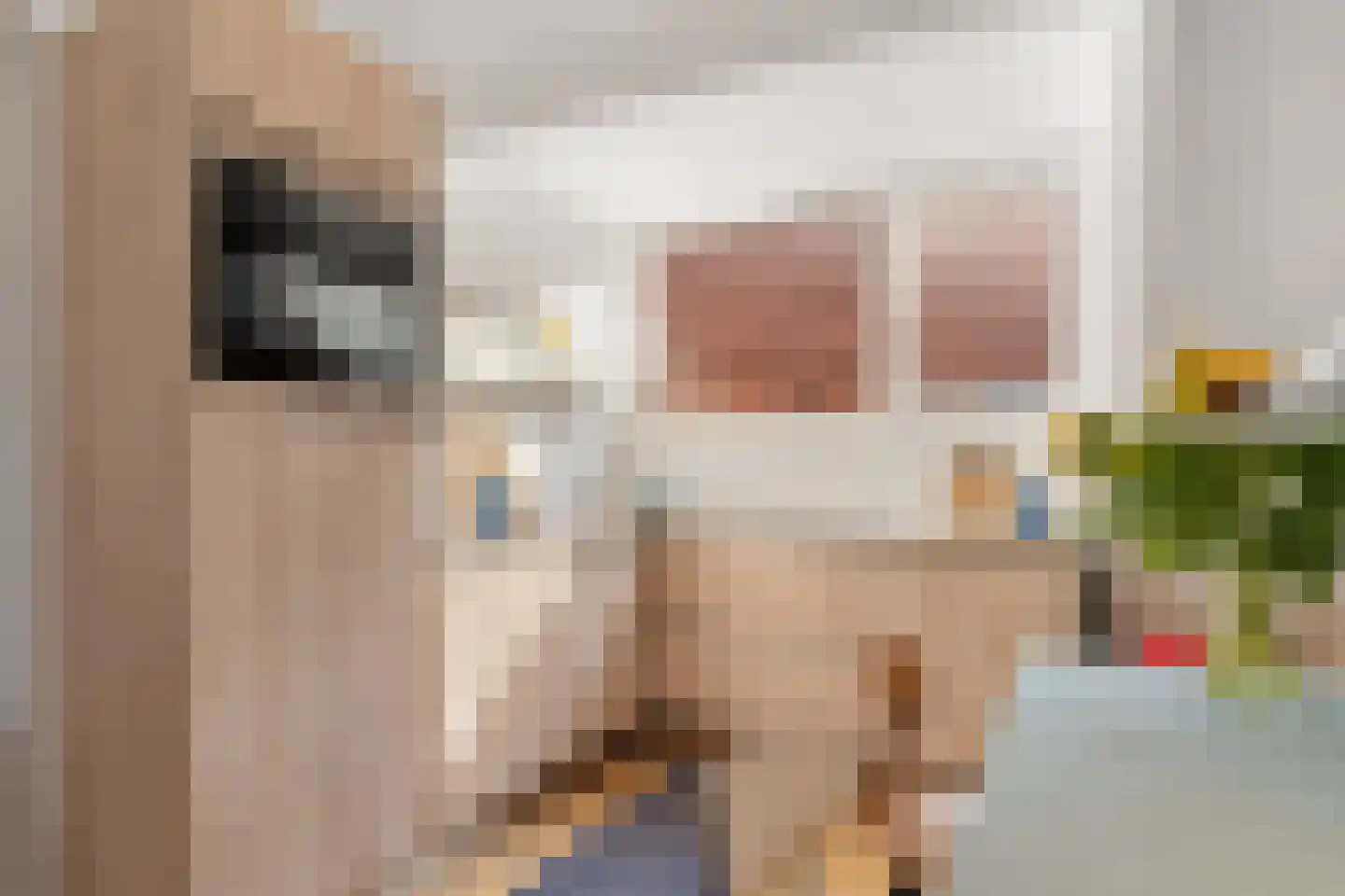 Nieuwe Binnenweg 219 B 03 Rotterdam thumbnail 31