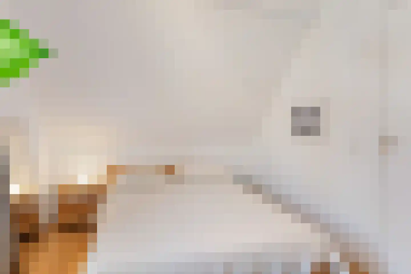 Nieuwe Binnenweg 219 B 03 Rotterdam thumbnail 37
