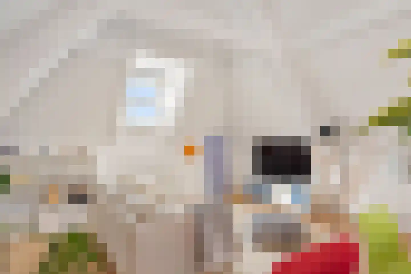 Nieuwe Binnenweg 219 B 03 Rotterdam thumbnail 6