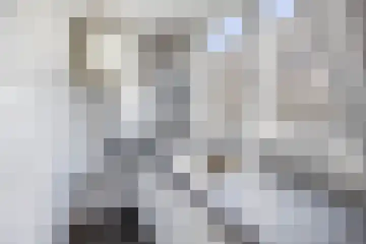 Nieuwe Binnenweg 226 B 01A Rotterdam thumbnail 14