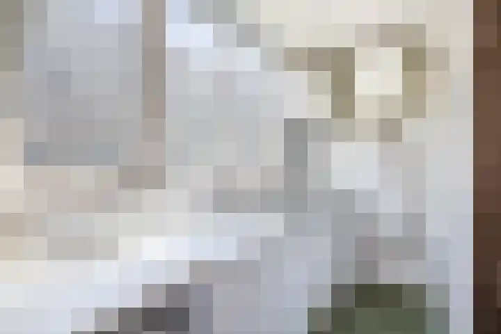 Nieuwe Binnenweg 226 B 01A Rotterdam thumbnail 14