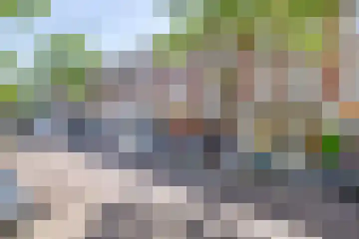 Nieuwe Binnenweg 226 B 01A Rotterdam thumbnail 23