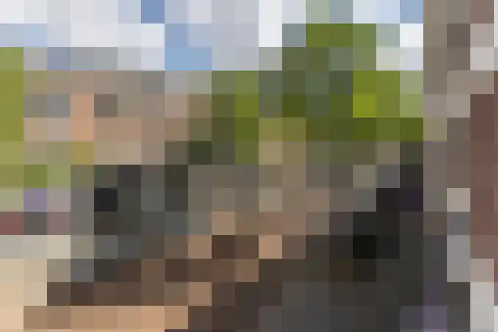 Nieuwe Binnenweg 240 A 01 Rotterdam thumbnail 32