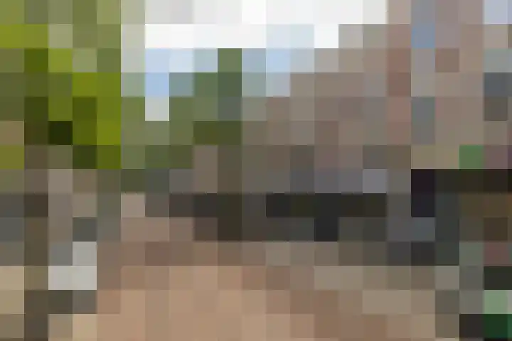 Nieuwe Binnenweg 240 A 01 Rotterdam thumbnail 34