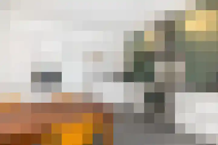 Nieuwe Binnenweg 240 A 01 Rotterdam thumbnail 9