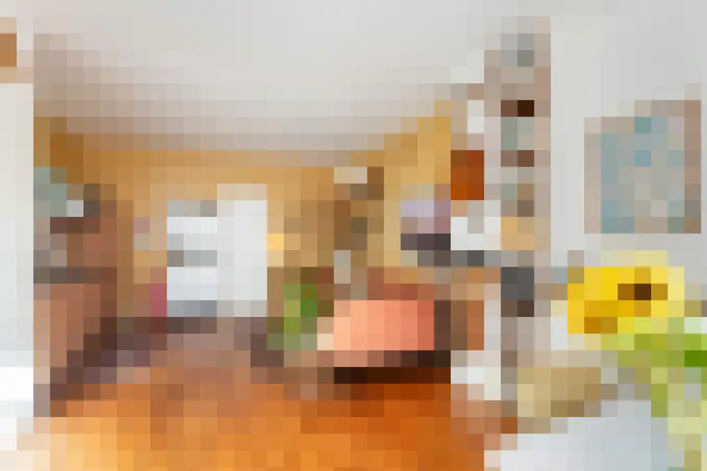 Nieuwe Binnenweg 240 C Rotterdam thumbnail 13