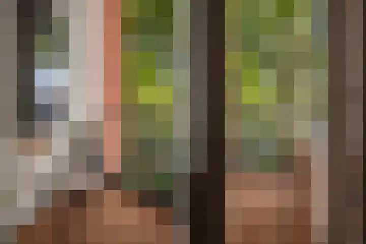 Nieuwe Binnenweg 241 B 02 Rotterdam thumbnail 11