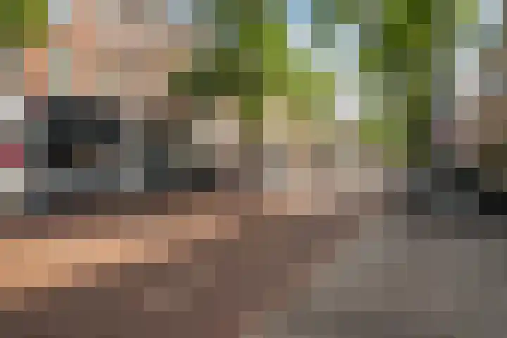 Nieuwe Binnenweg 241 B 02 Rotterdam thumbnail 16