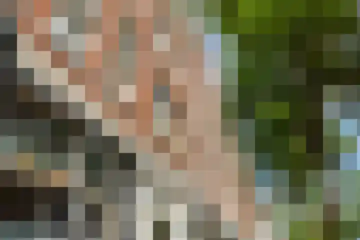 Nieuwe Binnenweg 241 B 02 Rotterdam thumbnail 20