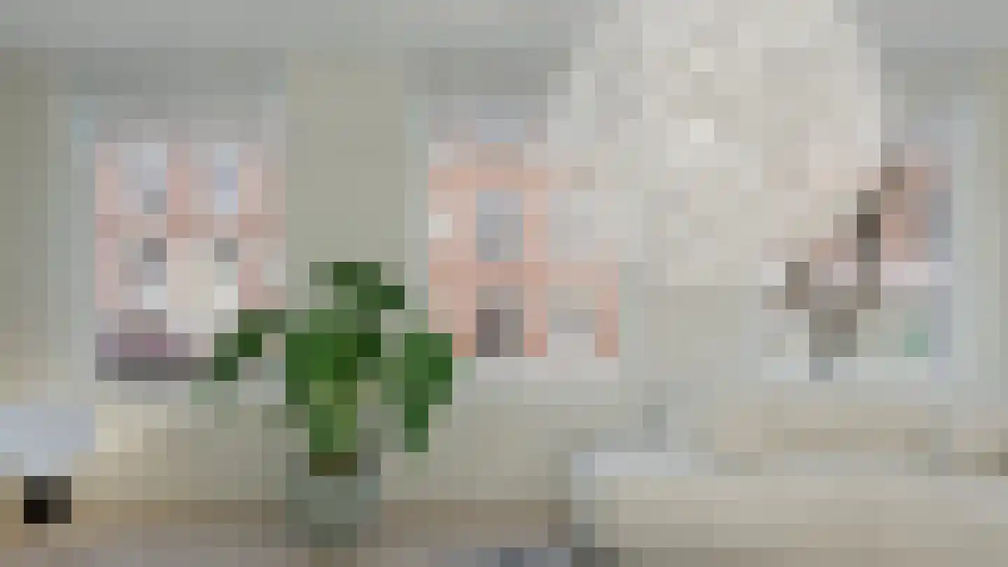 Nieuwe Binnenweg 253 A Rotterdam thumbnail 19