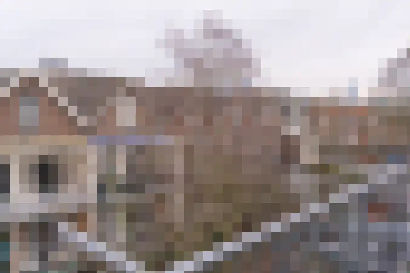 Nieuwe Binnenweg 253 A Rotterdam thumbnail 55