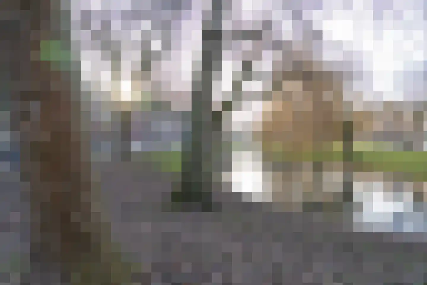 Nieuwe Binnenweg 253 A Rotterdam thumbnail 61