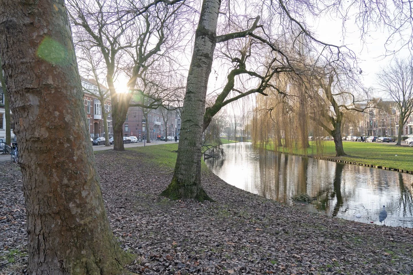 Nieuwe Binnenweg 253 B Rotterdam thumbnail 56