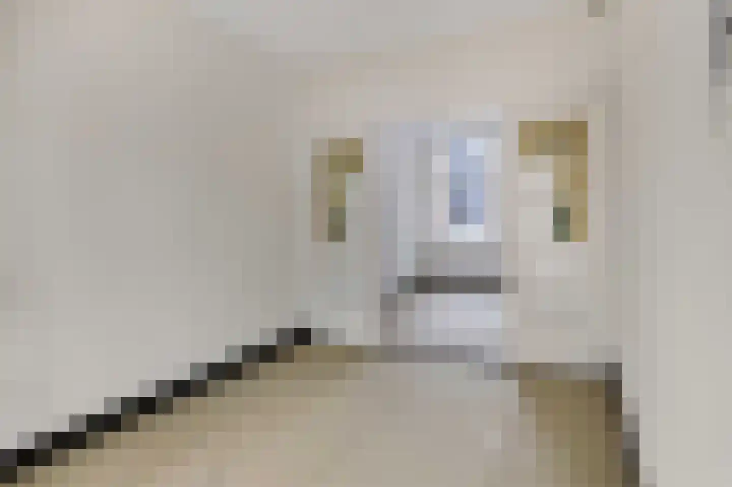 Nieuwe Binnenweg 267 B Rotterdam thumbnail 8