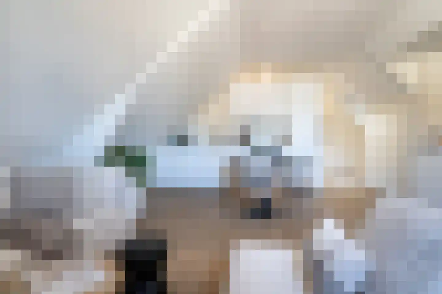 Nieuwe Binnenweg 287 B Rotterdam thumbnail 10