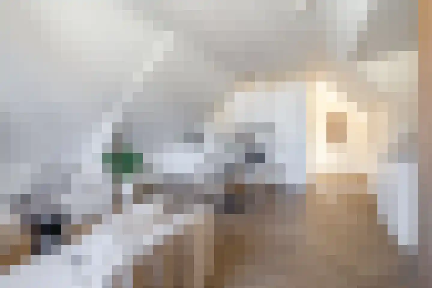 Nieuwe Binnenweg 287 B Rotterdam thumbnail 12