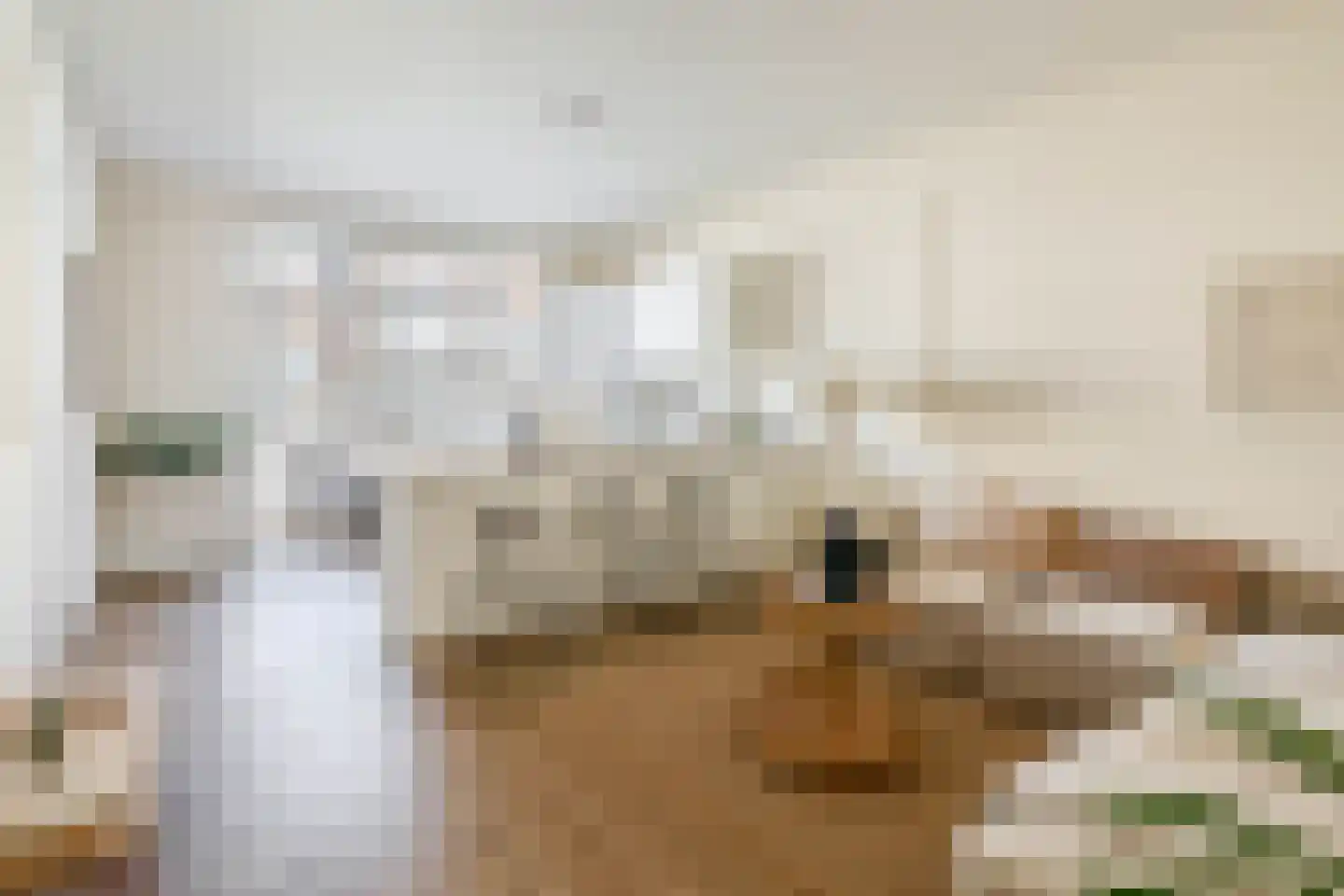 Nieuwe Binnenweg 287 B Rotterdam thumbnail 12