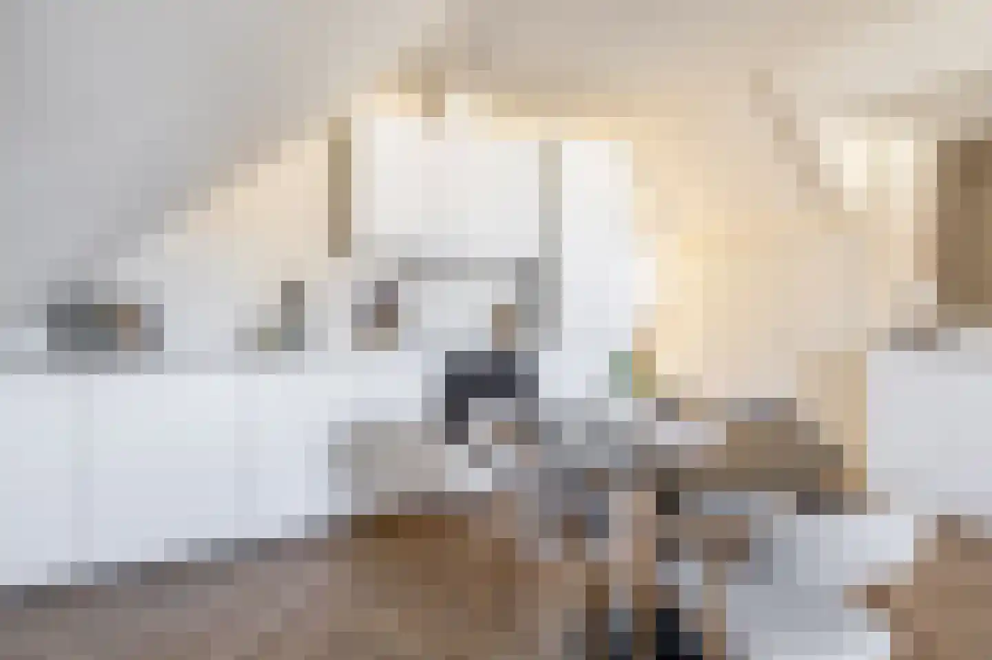 Nieuwe Binnenweg 287 B Rotterdam thumbnail 5