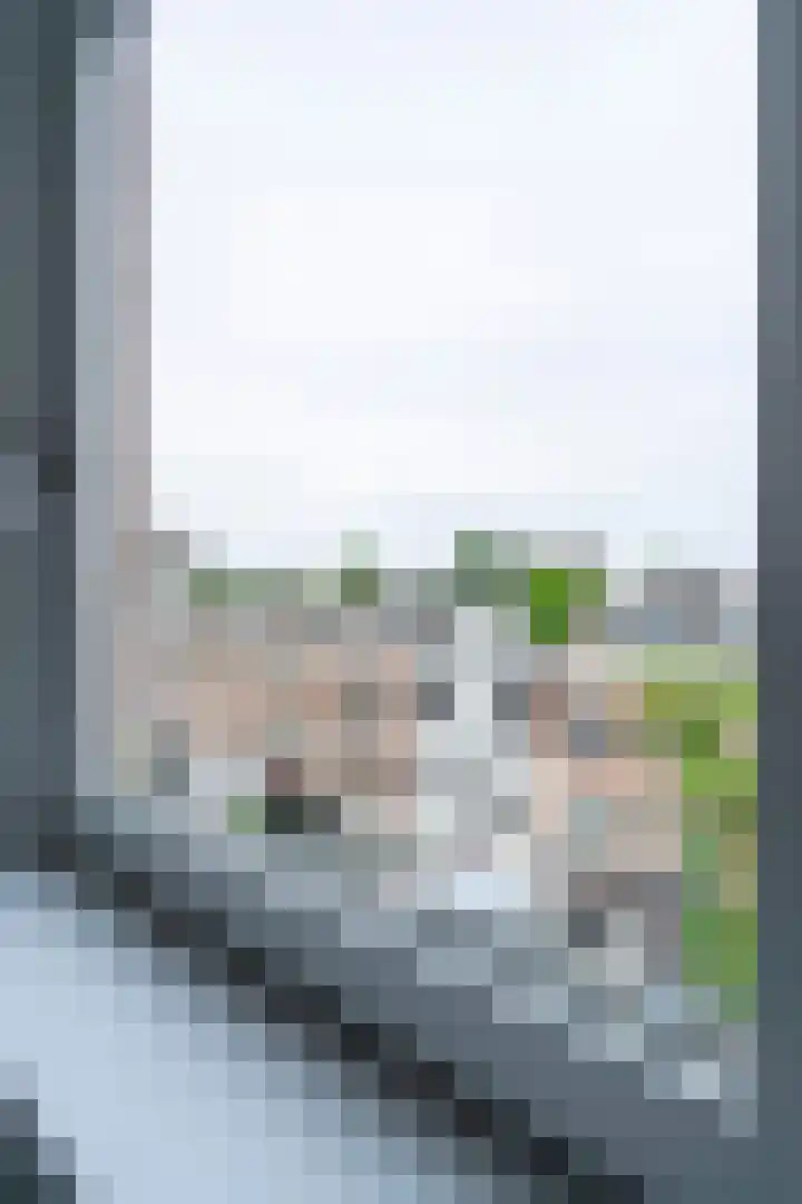 Nieuwe Binnenweg 290 B 02 Rotterdam thumbnail 6