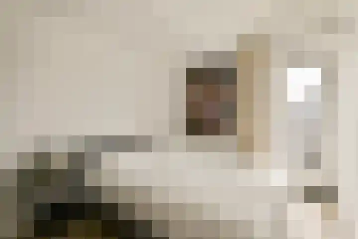 Nieuwe Binnenweg 306 H Rotterdam thumbnail 18
