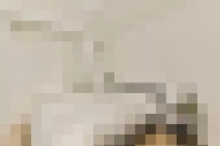 Nieuwe Binnenweg 306 H Rotterdam thumbnail 20