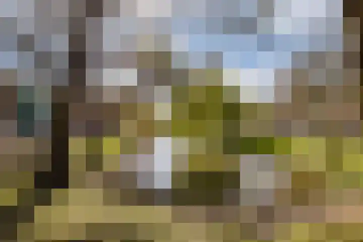 Nieuwe Binnenweg 306 H Rotterdam thumbnail 24