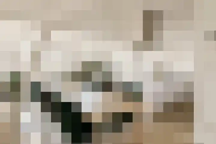 Nieuwe Binnenweg 306 H Rotterdam thumbnail 7