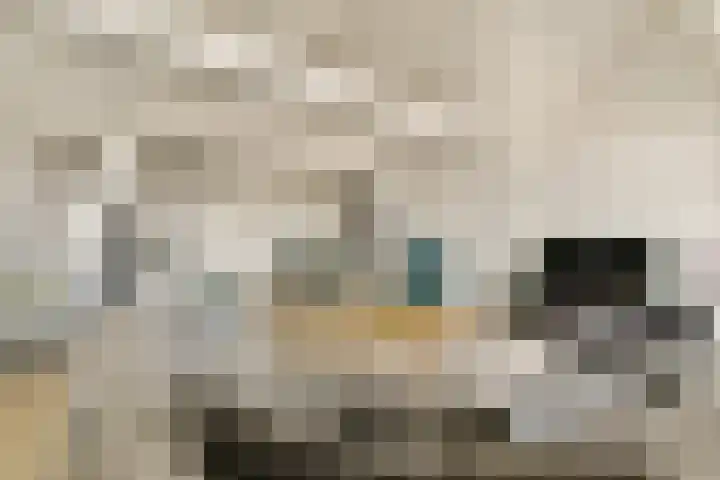 Nieuwe Binnenweg 306 H Rotterdam thumbnail 8
