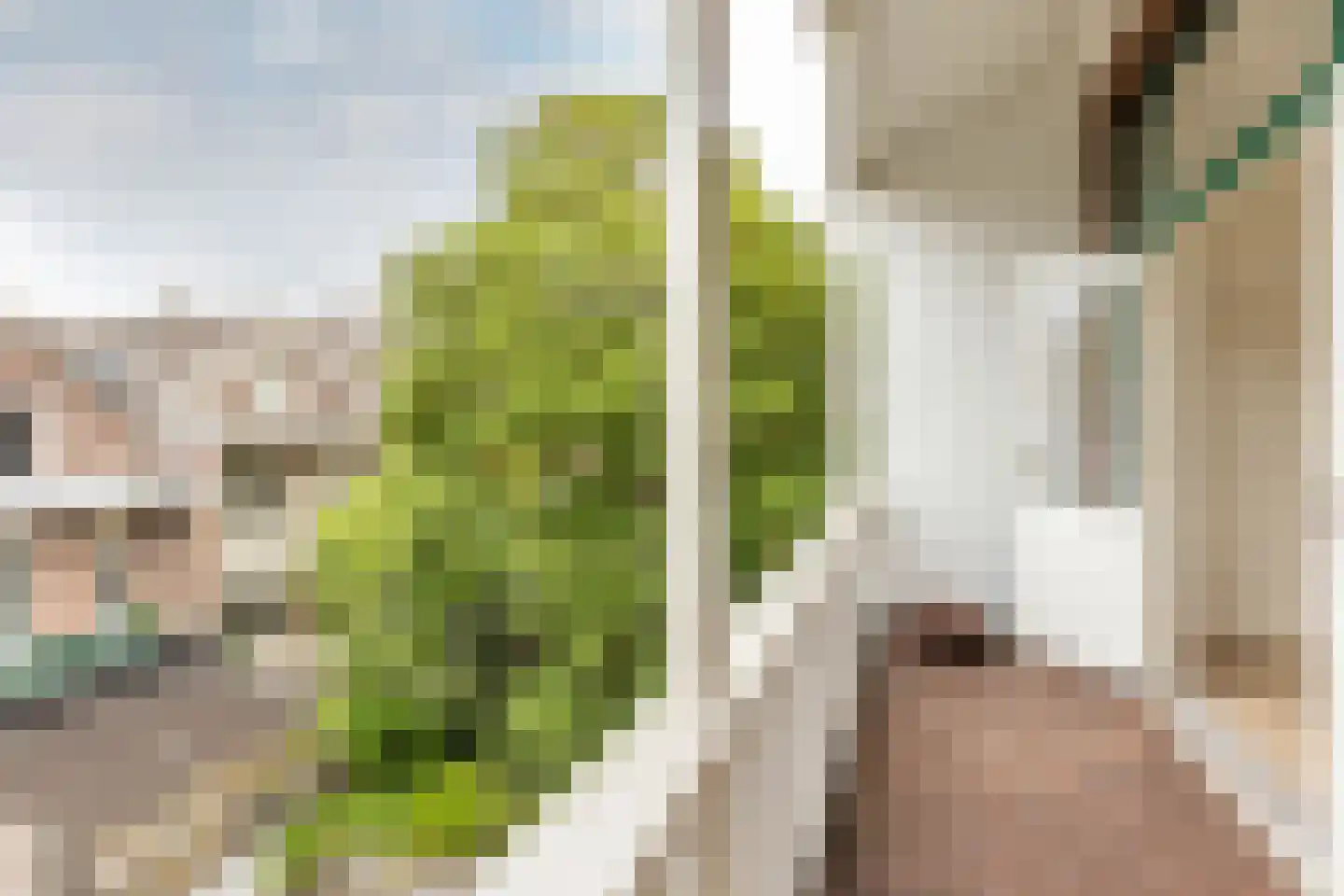Nieuwe Binnenweg 309 02 Rotterdam thumbnail 16