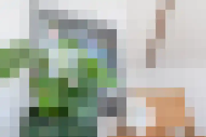 Nieuwe Binnenweg 321 A Rotterdam thumbnail 32