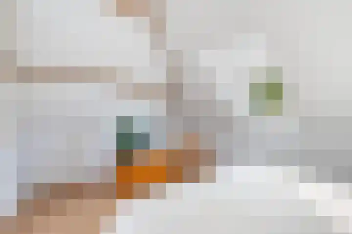 Nieuwe Binnenweg 321 A Rotterdam thumbnail 36