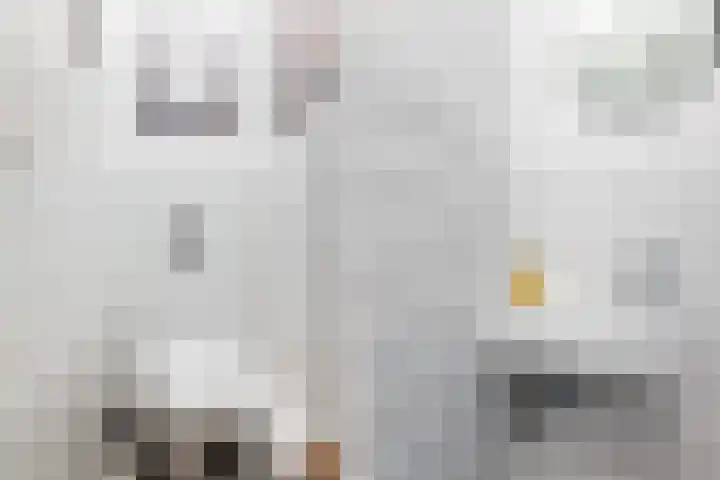 Nieuwe Binnenweg 321 A Rotterdam thumbnail 44