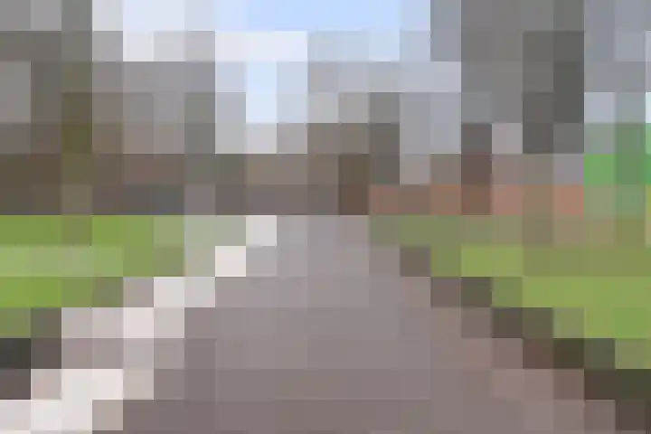 Nieuwe Binnenweg 338 B 02 Rotterdam thumbnail 21