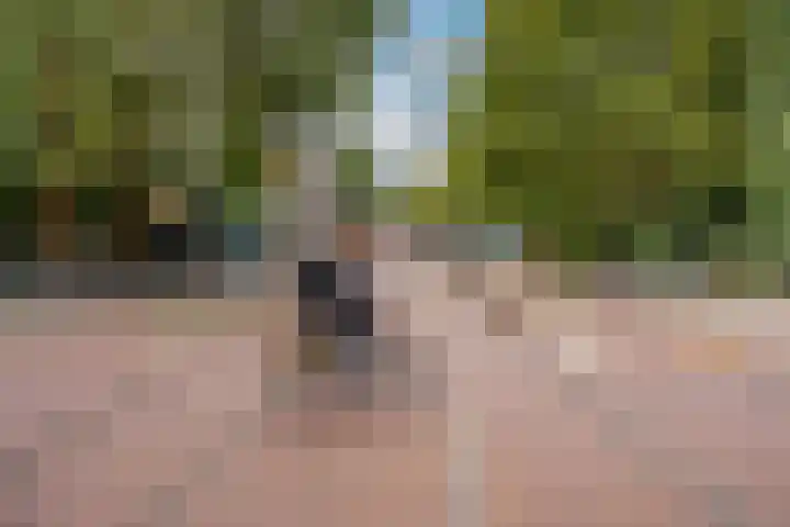 Nieuwe Binnenweg 338 B 02 Rotterdam thumbnail 22