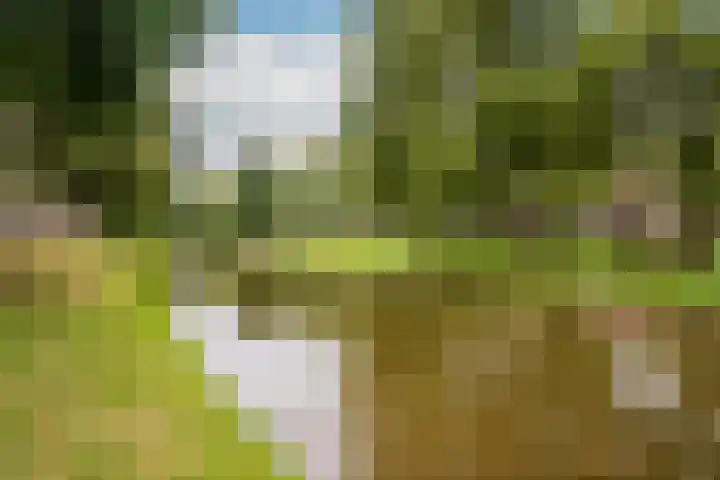 Nieuwe Binnenweg 338 B 02 Rotterdam thumbnail 23