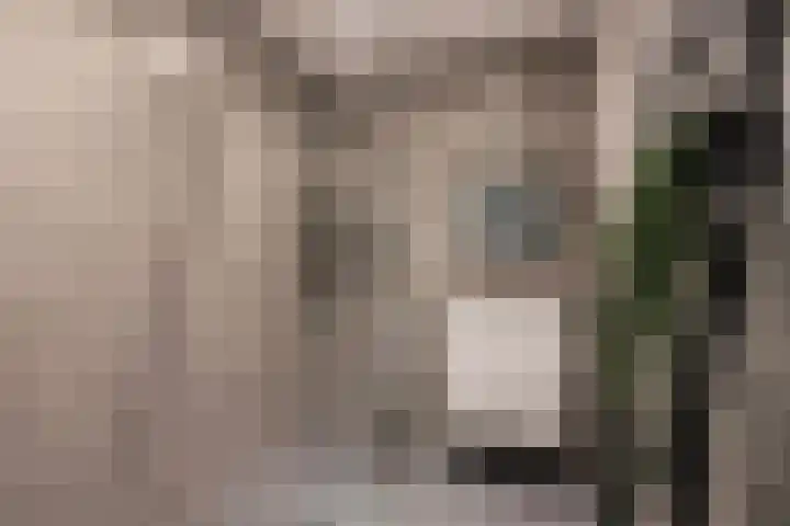 Nieuwe Binnenweg 338 B 02 Rotterdam thumbnail 4