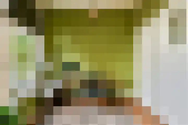 Nieuwe Binnenweg 344 A Rotterdam thumbnail 15