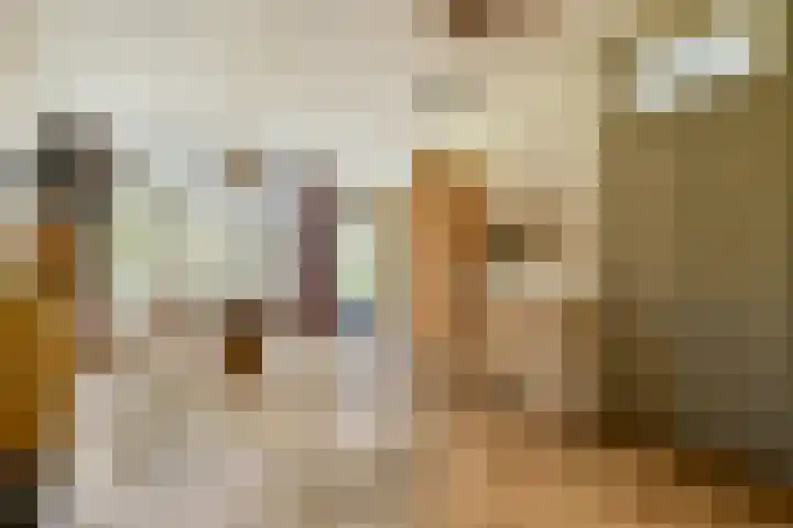 Nieuwe Binnenweg 344 A Rotterdam thumbnail 22