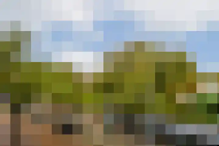 Nieuwe Binnenweg 344 A Rotterdam thumbnail 26