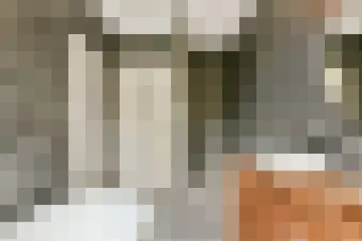 Nieuwe Binnenweg 344 A Rotterdam thumbnail 29