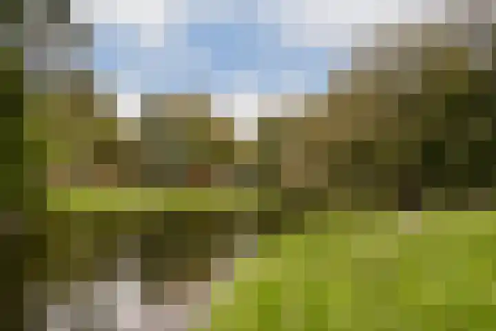 Nieuwe Binnenweg 344 A Rotterdam thumbnail 32
