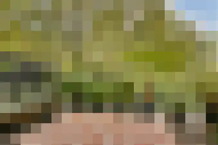 Nieuwe Binnenweg 344 A Rotterdam thumbnail 4