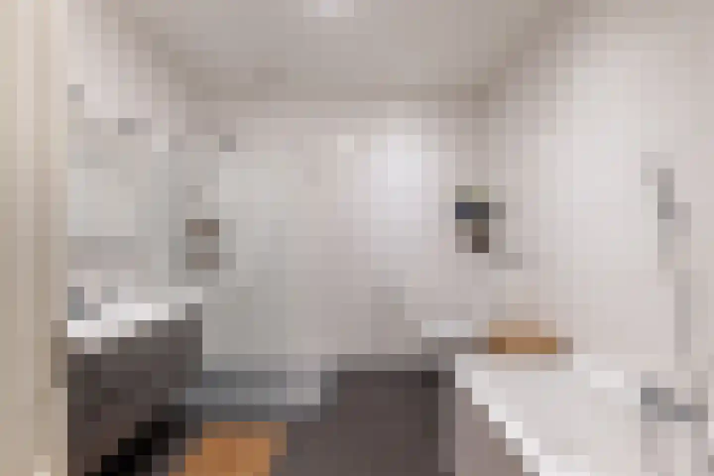 Nieuwe Binnenweg 348 B Rotterdam thumbnail 31
